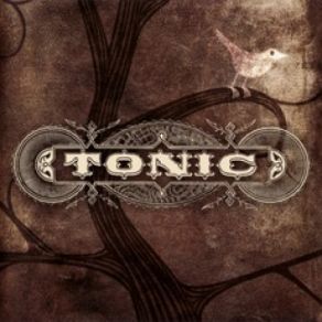 Download track Where Do I Fit Tonic