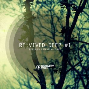 Download track Shiver (Mollono. Bass Remix) Douglas Greed, Delhia De France