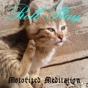 Download track What Will Survive Motorized Meditation