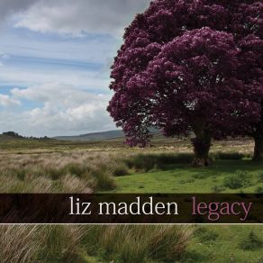 Download track Banks Of The Lee Liz MaddenJoanie Madden, Fionán De Barra