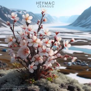 Download track Tundra HeymacSkallagrim