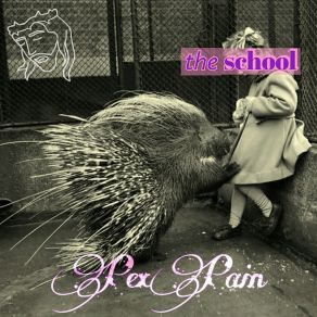 Download track The School PexPain