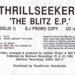 Download track What Are You Looking At The Thrillseekers