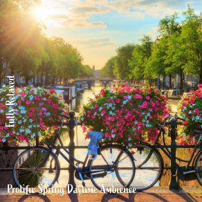 Download track Prolific Spring Daytime Ambience, Pt. 11 Steve Brassel