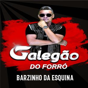 Download track Balança Essa Sanfona Galegão Do Forró