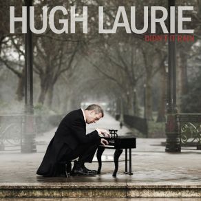 Download track Didn't It Rain Hugh Laurie