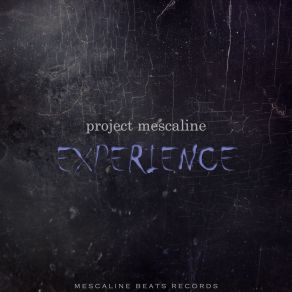 Download track Paralyzed (Original Mix) Project Mescaline