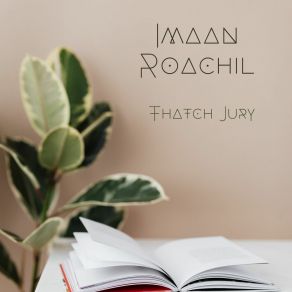 Download track Unpacked Missive Imaan Roachil