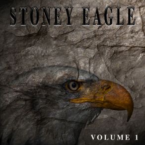 Download track The Jingle Dress Song Stoney Eagle