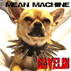 Download track If This Is What You Want Gavelin