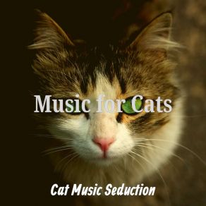 Download track Subdued Backdrops For Cute Cats Cat Music Seduction