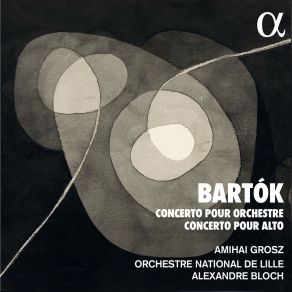 Download track Concerto For Orchestra, Sz.  116: III. Elegia. Andante Non Troppo Orchestre National De Lille