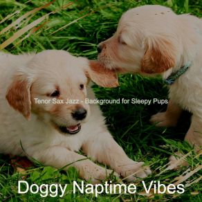 Download track Sparkling Backdrops For Separation Anxiety Doggy Naptime Vibes