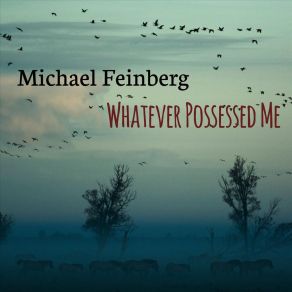 Download track Mr. Syms (Live In NYC) Michael Feinberg