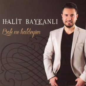 Download track Bak Ne Haldeyim Halit Baykanlı