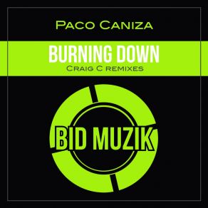 Download track Burning Down (Craig Cs Consolo Mix) Paco CanizaCraig C.