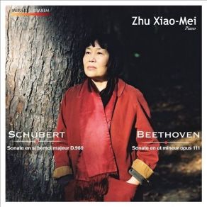 Download track 03 - Schubert- Piano Sonata No. 23 In B-Flat Major D. 960- I. Molto Moderato Zhu Xiao-Mei