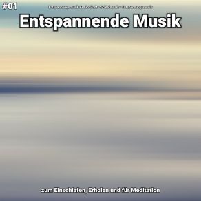 Download track Entspannende Musik Teil 59 Entspannungsmusik