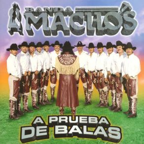 Download track Le Dieron Pa' Sus Tunas Banda Machos