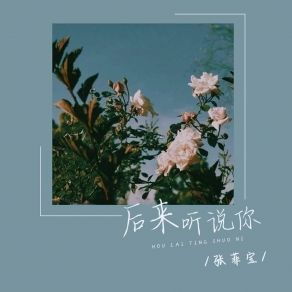 Download track 后来听说你 (伴奏) 张菲宝