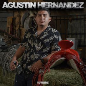 Download track Eres Mi Crush Agustin Hernandez