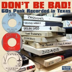 Download track Don't Be Bad The Driving Wheels