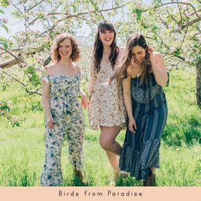 Download track Wind And Dew Birds From Paradise