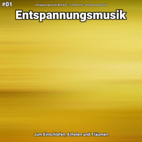 Download track Entspannungsmusik Teil 40 Entspannungsmusik