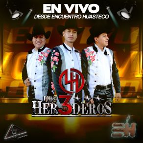 Download track Silueta De Cristal (En Vivo) Los 3 Herederos