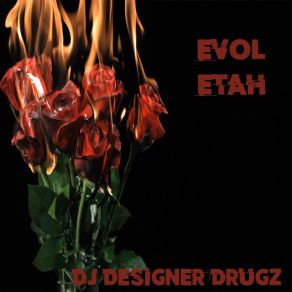 Download track The Low Life DJ Designer Drugz