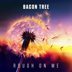 Download track Rough On Me Bacon Tree