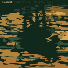 Download track Gjensyn Elias Jung