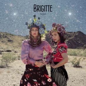 Download track Le Goût Du Sel De Tes Larmes Brigitte