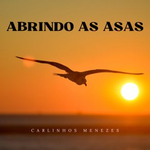 Download track Minha Aldeia Carlinhos Menezes