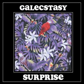 Download track Rmx Galecstasy