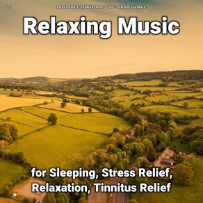 Download track Peaceful Sounds For Insomnia Relaxing Spa Music
