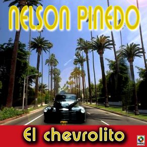 Download track Sombrita De Cocales Nelson Piñedo