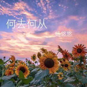 Download track 不要再回来 杨悠悠