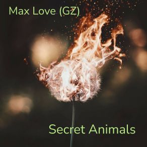 Download track Elephant (Original Mix) Max Love (GZ)