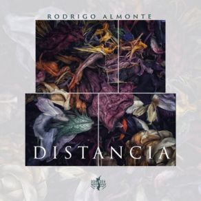 Download track The Journey Of The Lonely Cloud [10000 Km] Rodrigo Almonte