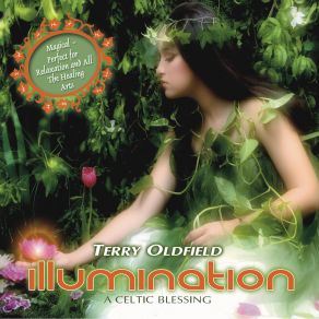 Download track Illumination Terry Oldfield