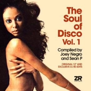 Download track Closer To The Feeling Joey Negro, Sean PZebra