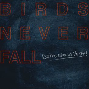 Download track Don't Mess It Up Birds Never Fall