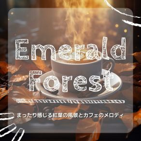 Download track Rainy Day Romp Emerald Forest