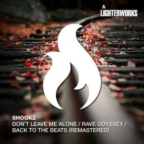 Download track Back To The Beats (Remastered) Shookz