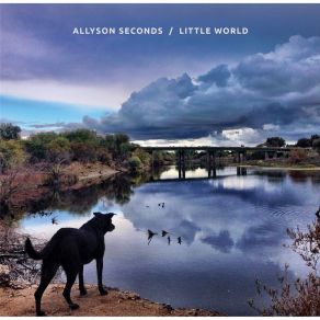 Download track Great Blue Heron Allyson Seconds