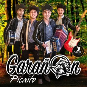 Download track El Cochi Cuino GARAÑON