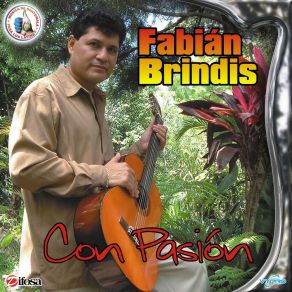 Download track El Perdedor (Duraguense Version) Fabián Brindis