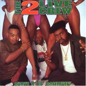 Download track Shake A Little Somethin The 2 Live Crew