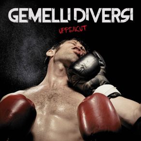 Download track Su Di Me Gemelli Diversi